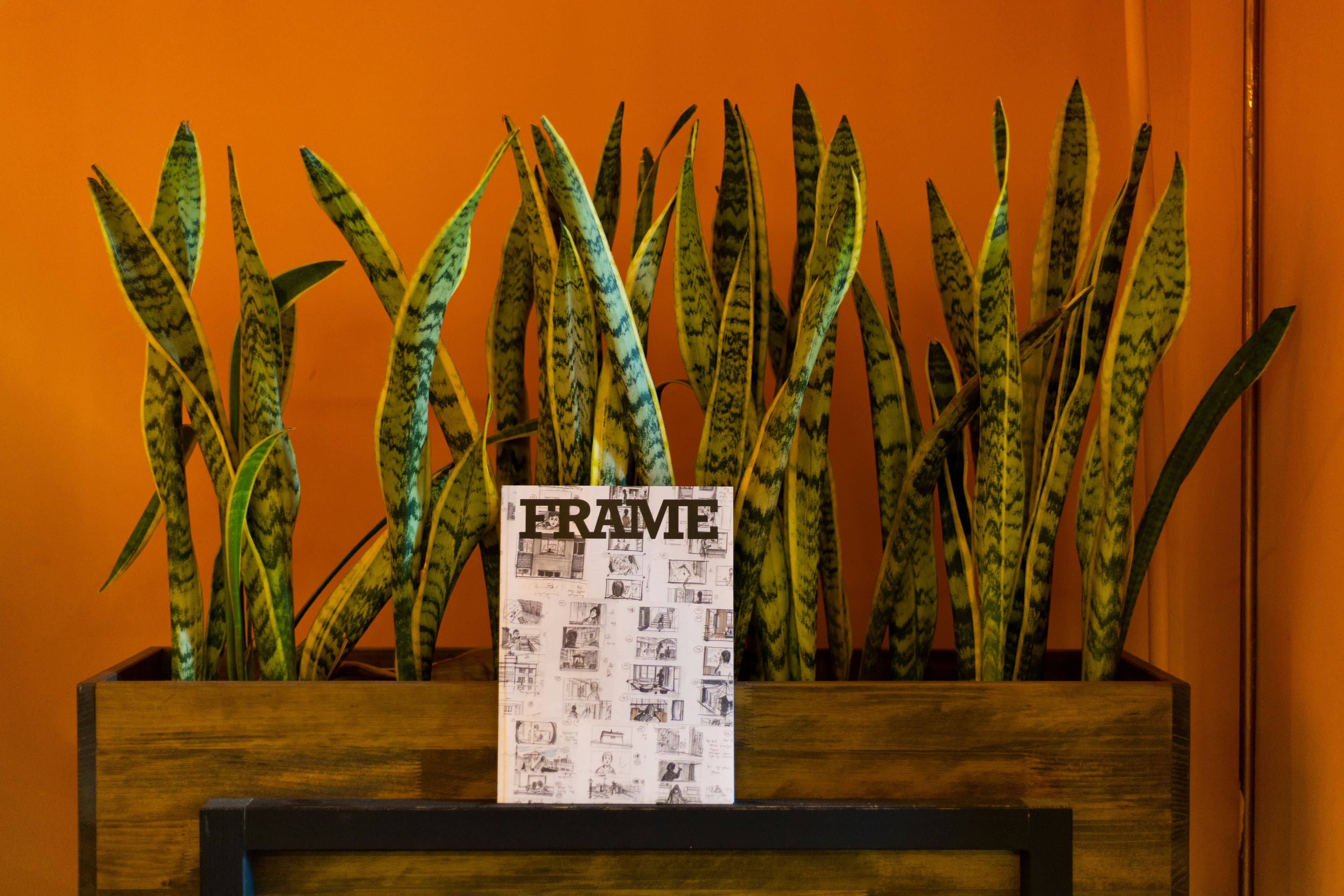 FRAME Issue 1 Cover
